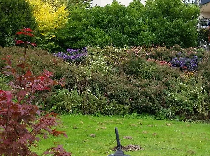 Am Kaufunger Wald * Kaufungen